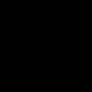 Meet your Posher, Ramon